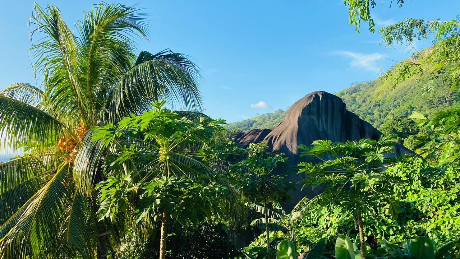 Josies Cottage Beau Vallon  Exterior foto